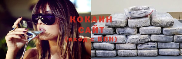 индика Кукмор