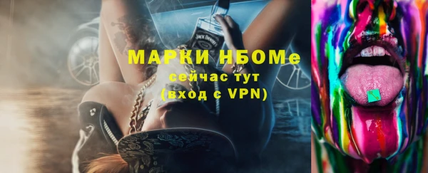 индика Кукмор