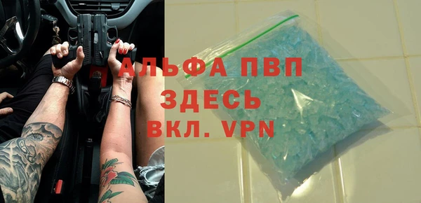 индика Кукмор