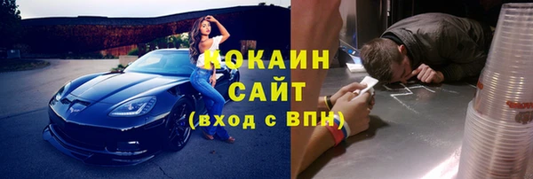 индика Кукмор