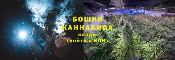 хмурый Лагань