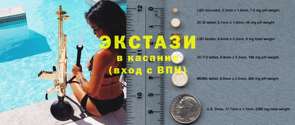 индика Кукмор