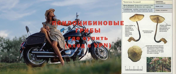 ALPHA-PVP Куйбышев