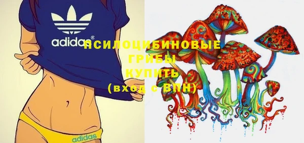 индика Кукмор