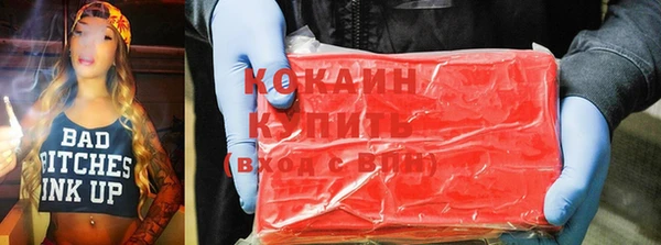 индика Кукмор