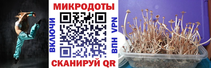 Галлюциногенные грибы Magic Shrooms  Купить закладки  Тюмень 